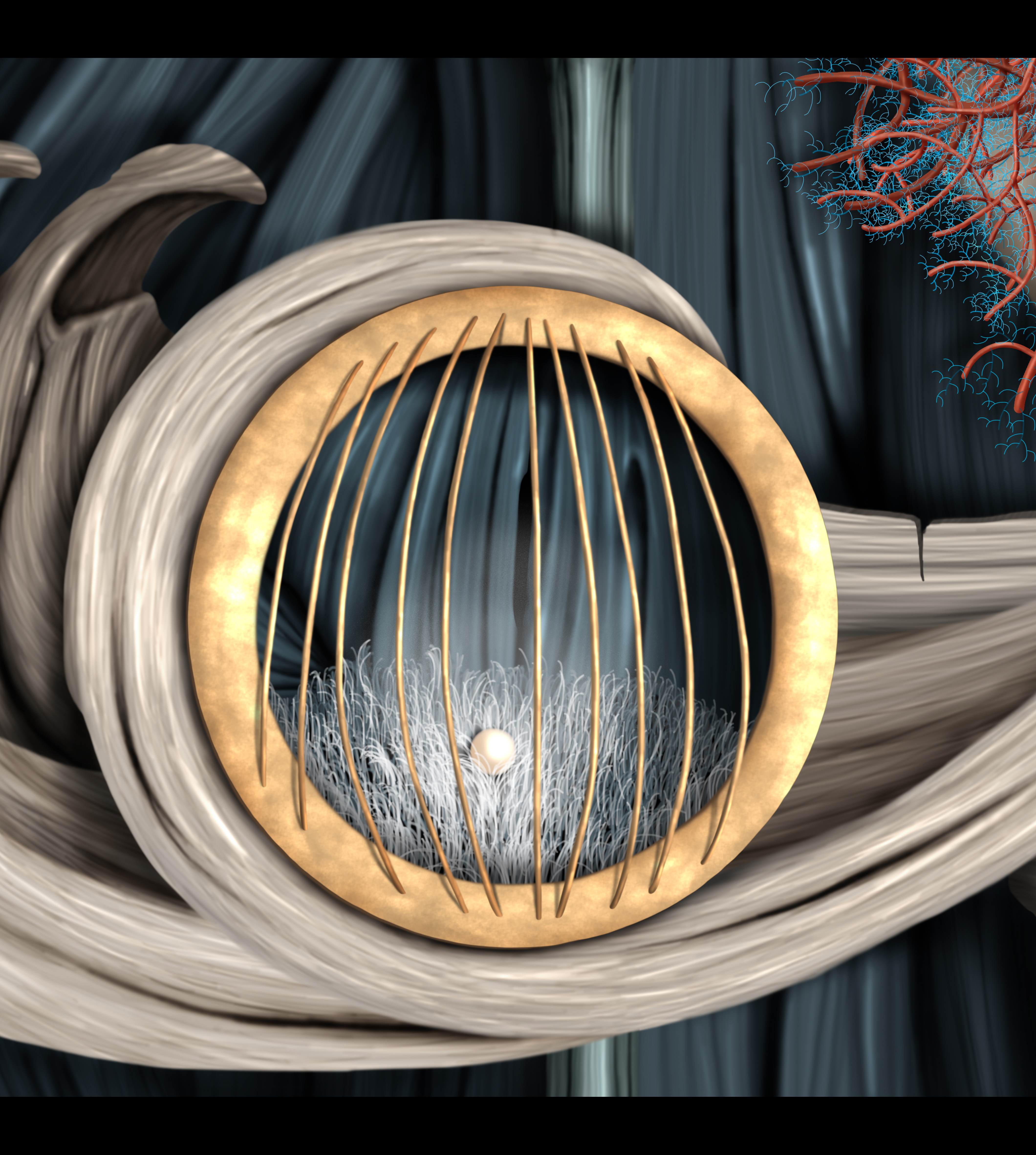 PERLABIANCA-SAULZANOLARI1